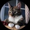 katelynhenry286